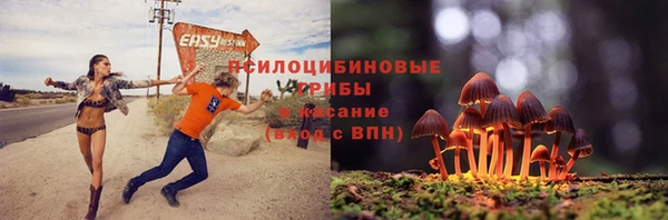 apvp Алексеевка