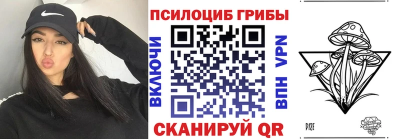 Псилоцибиновые грибы Psilocybine cubensis Подольск